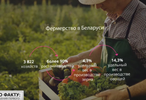 Число фермеров в Беларуси продолжает расти, но какой их удельный вес в сельхозпроизводстве?