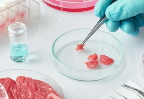 Франция вводит новый запрет на использование «мясных» названий для продуктов из растительного белка