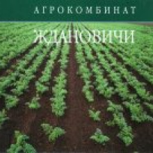 Агрокомбинат "Ждановичи": первая партия огурцов нового урожая