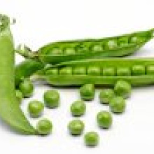 Горынский агрокомбинат увеличил производство зеленого горошка