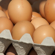 Экспортный потенциал куриных яиц: востребованы мытые