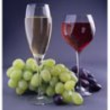 Винодельческие компании: запрет на рекламу виноградных вин надо отменить