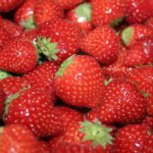 Великобритании могут понадобиться сборщики ягод и овощей из Украины и России.