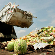 К 2030 году ООН призывает вдвое уменьшить количество пропавших продуктов
