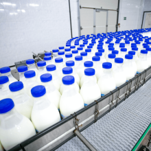 Технические молочные ингредиенты — растущий мировой рынок