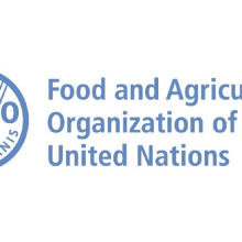 FAO борется с резистентностью к антимикробным препаратам в цепи поставок продуктов питания