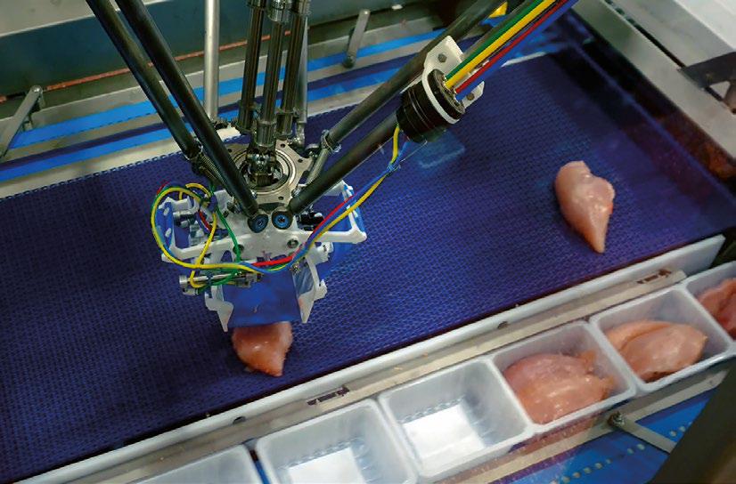 Витебская бройлерная птицефабрика