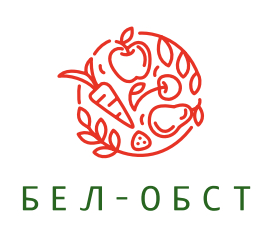 логотип «БЕЛ-ОБСТ»