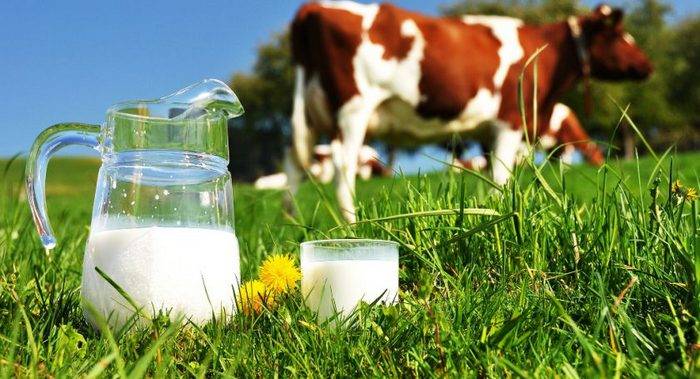 Топ-10 районов Беларуси по надоям молока в первом полугодии 2017 года