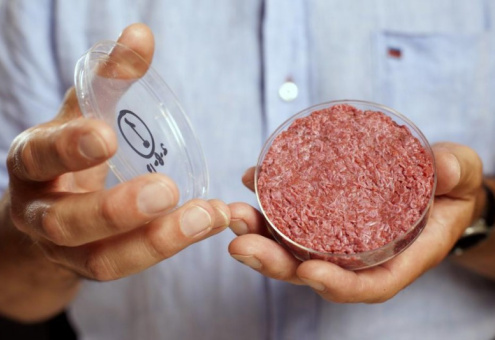 В США начали изготавливать мясо из стволовых клеток