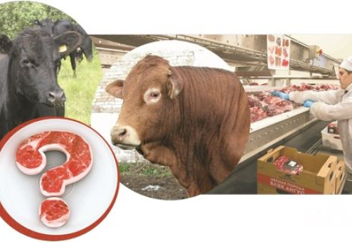 Почему на прилавках не найти мраморную говядину от белорусских производителей?