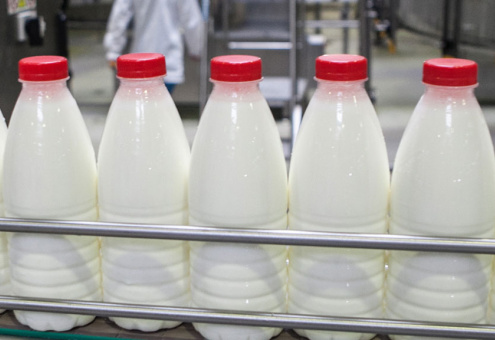 Маркировка молочной продукции с содержанием растительных жиров может быть введена в России