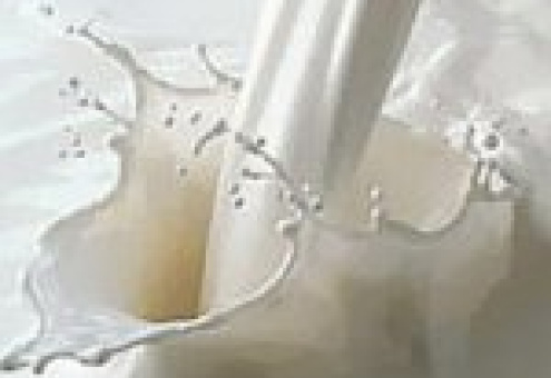 Несвижский район - рекорд по удою молока от коровы