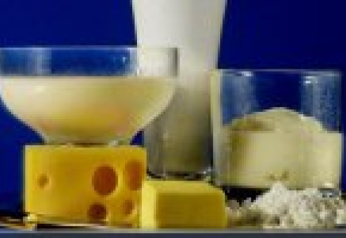Совершенствование контроля за качеством молочной продукции