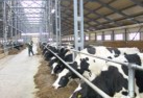 Беларусь увеличила объем сельхозпроизводства на 1,3%