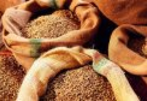 Азербайджан увеличивает запасы зерна на 50%