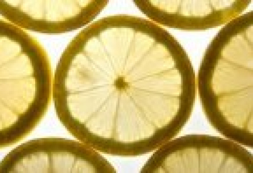 В 2009 году Аргентина экспортировала на 40% меньше лимонов