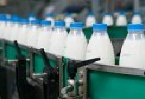 Казахстан планирует довести производство молока до 5,107 млн в 2020 году