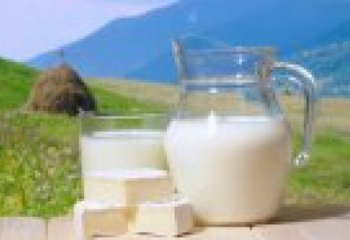 Молочное производство в России может стать полностью зависимым от иностранных компаний
