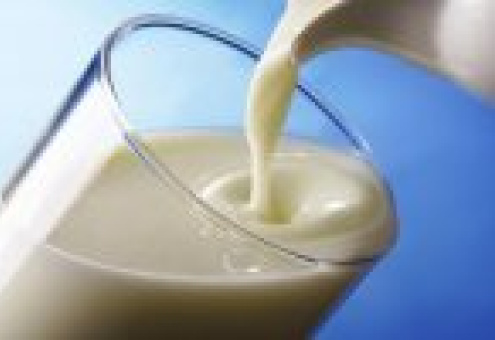 В Чехии продолжают снижаться закупочные цены на сырое молоко