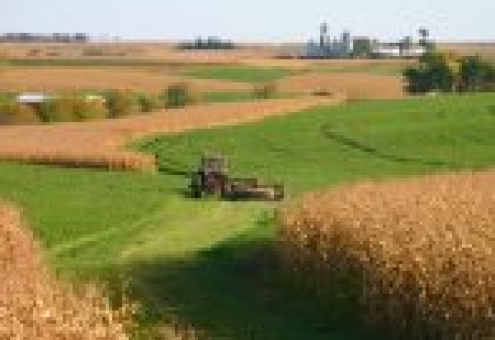 Яровые зерновые и зернобобовые культуры на площади 1,28 млн.га