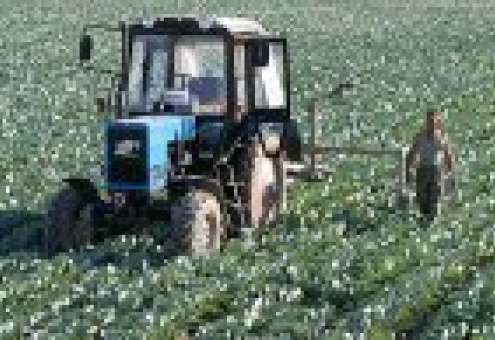 Сельское хозяйство - основной должник белорусской экономики