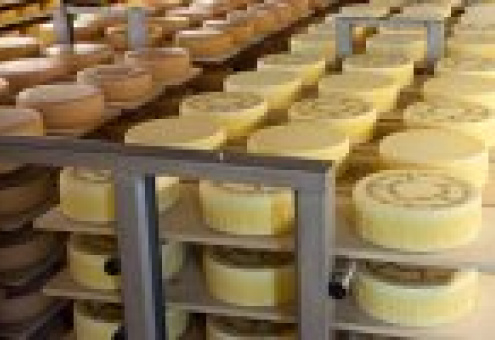 Россельхознадзор разрешил поставки сыра и мяса с восьми предприятий Швейцарии