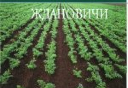 Агрокомбинат "Ждановичи": первая партия огурцов нового урожая