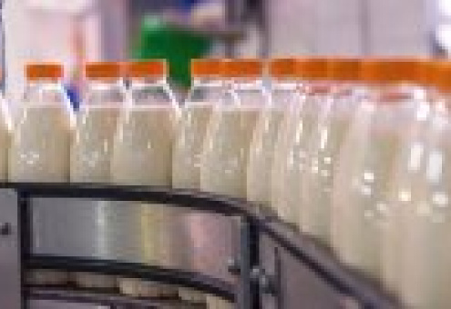 В Россельхознадзоре разъяснили действующие правила сертификации молока