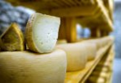 Итальянцы помогут возродить традиции сыроварения в России