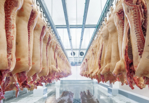 Экспорт свинины из России в 2017 году увеличился на 50 %