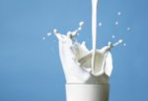Увеличение производство молока в общественном секторе Беларуси