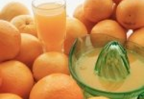 USDA прогнозирует высокий урожай апельсинов в 2010 году