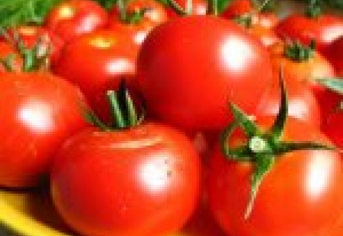 Первые белорусские огурцы и помидоры