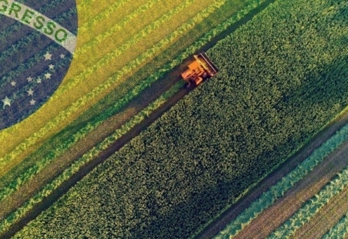 Житница планеты: 6 фактов о сельском хозяйстве Бразилии