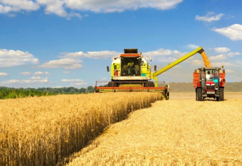 Жатва-2022: хлеборобы намолотили свыше 6,6 млн тонн зерна