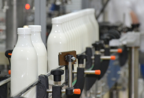 На фоне падения объемов производства молока в ряде стран Беларусь демонстрирует уверенный рост