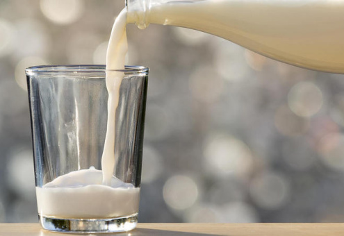 В Беларуси произведено рекордное количество молока
