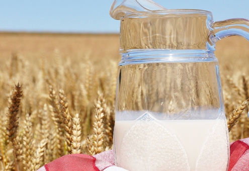 Почти 3 млн тонн зерна и более 2 млн тонн молока. Турчин о достижениях Минской области в 2022 году