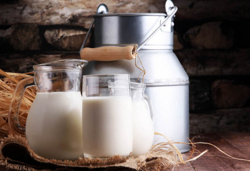 Сельхозпредприятия Брестчины с начала года нарастили производство молока на 8,2 %