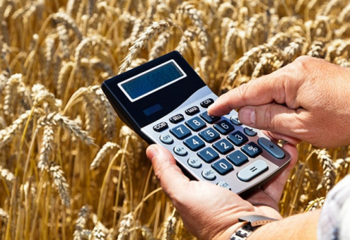 Низкий урожай зерна помешал росту экономики Беларуси
