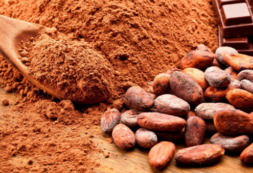 «Коммунарка» в ближайшие годы намерена в 10 раз увеличить объем переработки какао-бобов