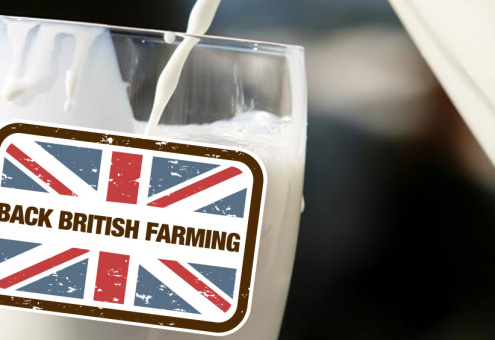 Фермеры Великобритании выступили за маркировку молочной продукции