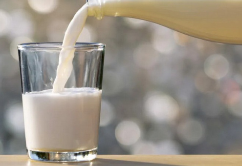 Производство молока в ОАО «Парахонское» достигнет более 41 тыс. тонн