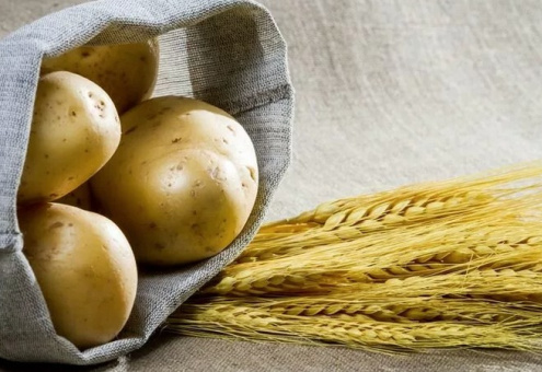 Высокий урожай картофеля и зерна. С какими результатами в Беларуси завершают уборочную кампанию