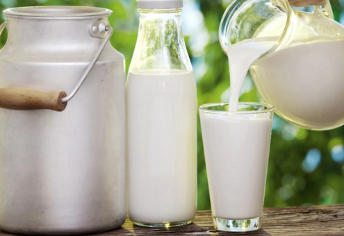 Пружанский район сохраняет лидерство в стране по объему производства молока