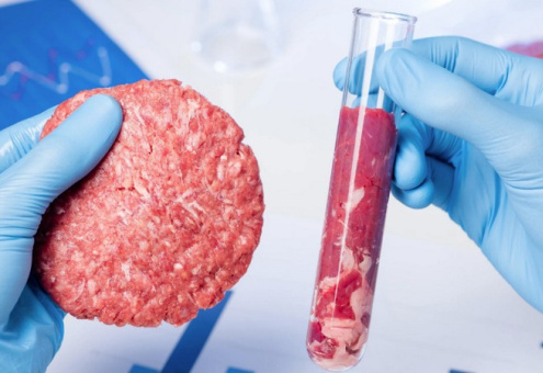 В Италии хотят ввести запрет на «клеточное» мясо