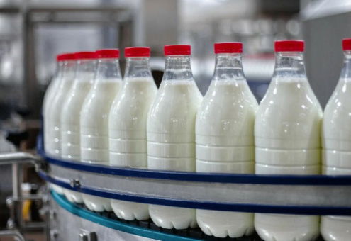 За первый квартал 2023 года производство молока в Беларуси выросло на 5 %
