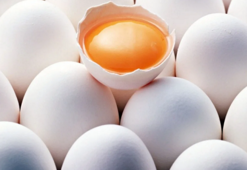 Rabobank: высокие цены встряхнули мировые цепочки поставок яиц