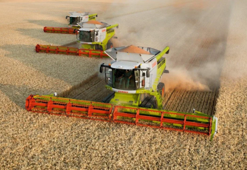 В Беларуси намолочено зерна, включая рапс, 5178,4 тыс. т